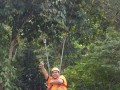Tn DSC 4302